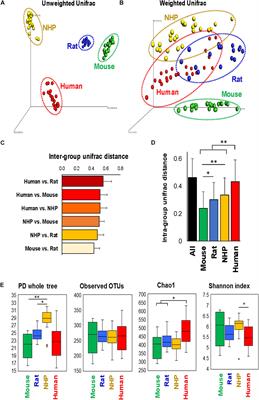 Comparative Microbiome Signatures and Short-Chain Fatty Acids in Mouse, Rat, Non-human Primate, and <mark class="highlighted">Human Feces</mark>